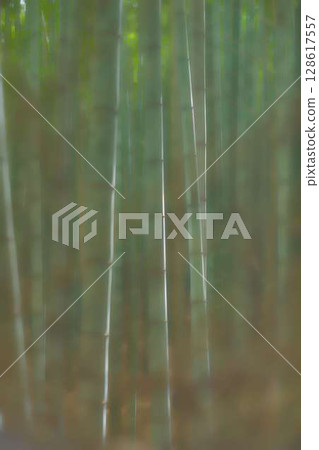 Morning sounds of the bamboo forest Morning sounds of the bamboo forest 128617557