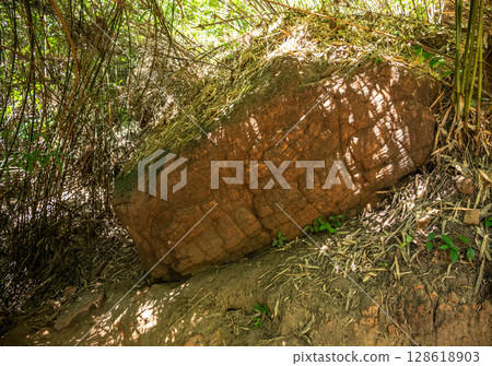 The bizarre Naga stone in Naga Cave, located in the Bueng Kan province of Northeastern Thailand. This strange and amazing beauty of the large stone shaped like a giant snake. The bizarre Naga stone in Naga Cave, located in the Bueng Kan province of Northeastern Thailand. This strange and amazing beauty of the large stone shaped like a giant snake. 128618903