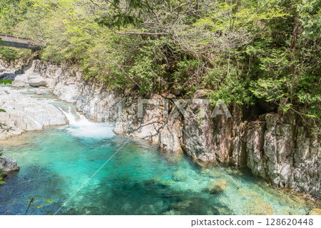長野阿泰拉谷健行 128620448
