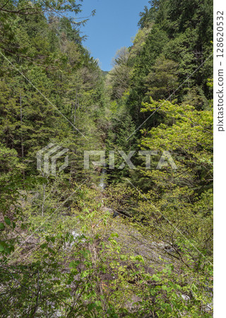 長野阿泰拉谷健行 128620532