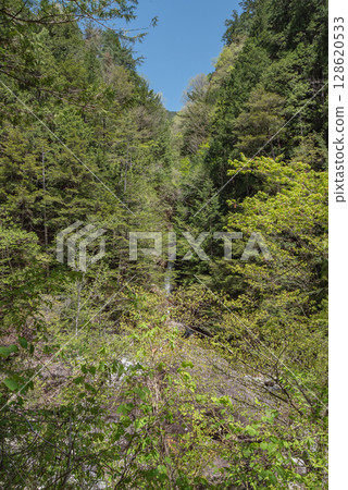 長野阿泰拉谷健行 128620533