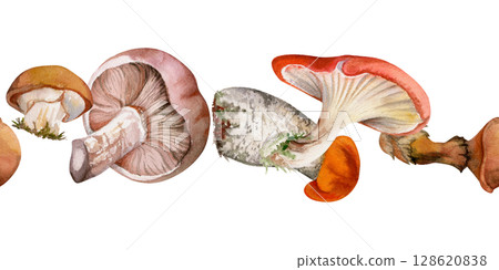 Bolete cep russula suillus mushroom fungi, autumn forest harvest, edible raw ingredient for vegan cooking. Seamless banner header hand drawn in watercolor. Menu list accents, farmers market wrapping Bolete cep russula suillus mushroom fungi, autumn forest harvest, edible raw ingredient for vegan cooking. Seamless banner header hand drawn in watercolor. Menu list accents, farmers market wrapping 128620838