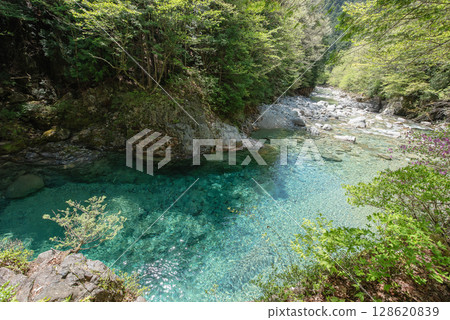 長野阿泰拉谷健行 128620839