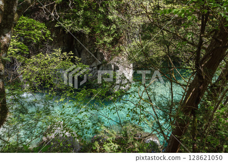 長野阿泰拉谷健行 長野阿泰拉谷健行 128621050