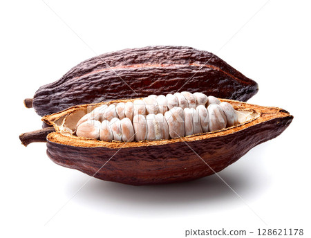 可可果 可可豆莢 128621178