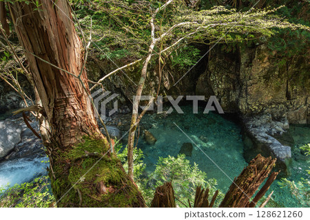 Trekking in Nagano Atera Valley 128621260