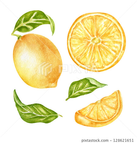 A set of watercolor illustrations with lemons, leaves, lemon halves, citrus fruits. A collection of juicy fruits for packaging design, kitchen textiles. A branch of citrus, a botanical illustration. 128621651