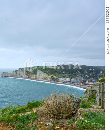 Vertical view of Etretat town and cliffs from coastal path 128622014