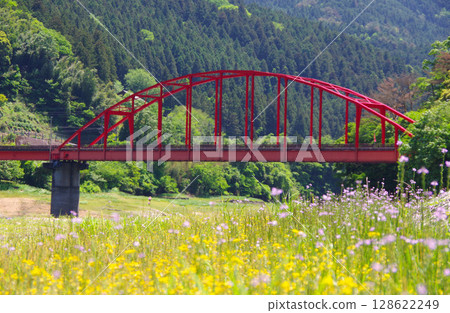 Hirano Bridge over Lake Kanasa, Shikokuchuo City, Ehime Prefecture 128622249