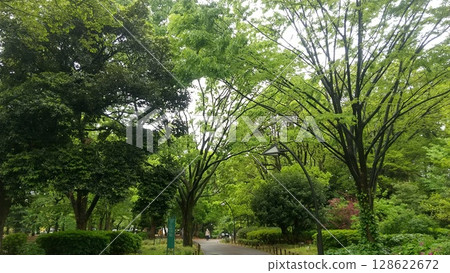 上野公園 128622672