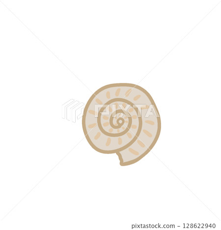 Ammonite fossil simple 128622940