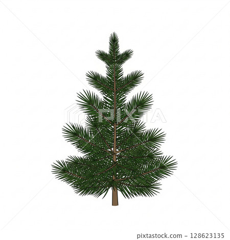 日本吉祥松樹 日本吉祥松樹 128623135