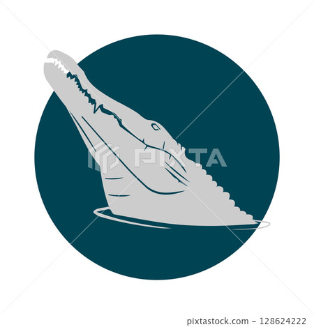 The crocodile's head appears on the surface The crocodile's head appears on the surface 128624222