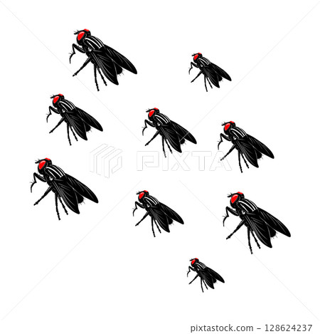 Icon vectors illustration of flies 128624237