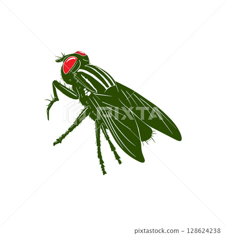 Fruit fly hand drawn Illustration Sketch Vector Isolated Fruit fly hand drawn Illustration Sketch Vector Isolated 128624238