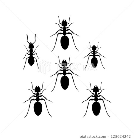 Icon vectors illustration of ant animal 128624242