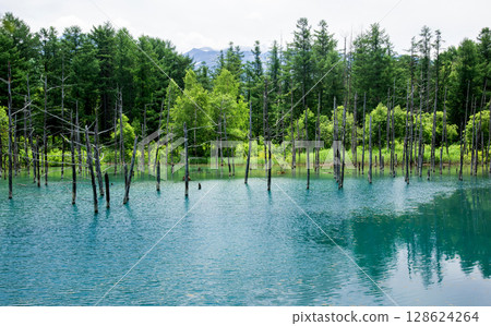 Biei Blue Pond 128624264