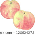 peach painted in watercolor 128624278
