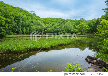 [乘鞍高原]阿澤見池[松本市] 128624525