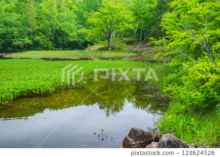 [乘鞍高原]阿澤見池[松本市] 128624526