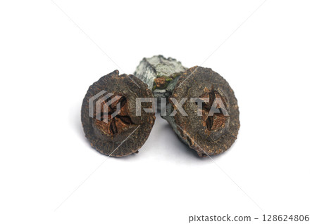 Isolated eucalyptus fruits gumnuts on white background 128624806