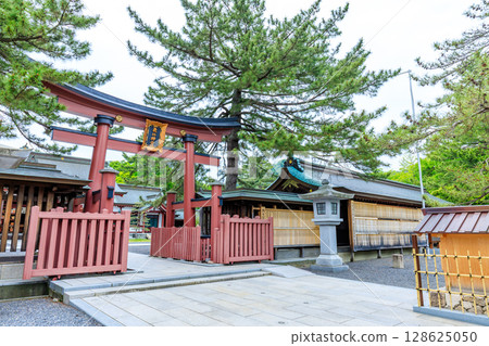 Early summer at Kehi Shrine in Tsuruga City, Fukui Prefecture 128625050