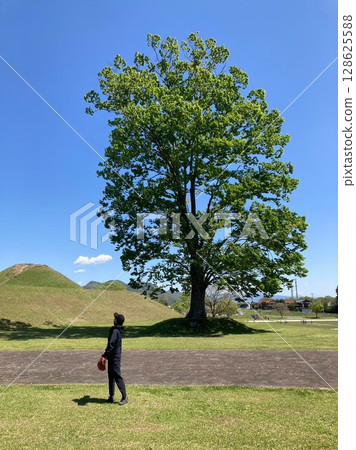 一個人站在一棵大樹和藍天下。一個人仰望 一個人站在一棵大樹和藍天下。一個人仰望 128625588