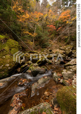 三重縣名張市赤目四十八瀑 三重縣名張市赤目四十八瀑 128625596