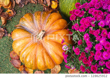 Large orange pumpkin and vibrant pink flowers on grass with dry leaves, autumn and Halloween scene 128625912