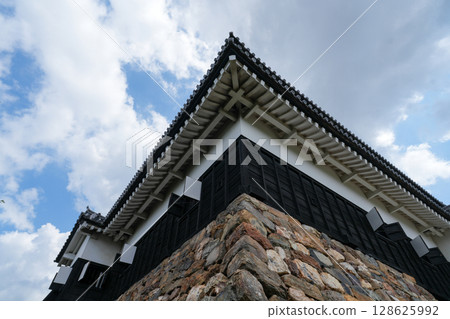 National Treasure Inuyama Castle (still standing castle tower) National Treasure Inuyama Castle (still standing castle tower) 128625992