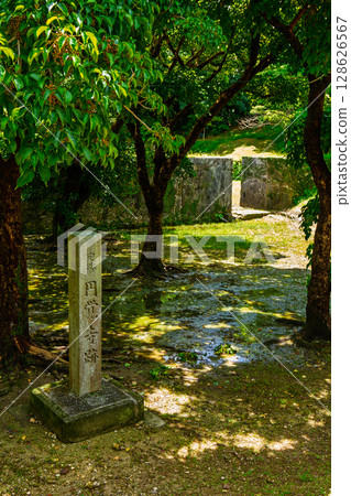 我在旅行中發現的夏日風景 我在旅行中發現的夏日風景 128626567