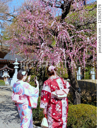 Spring at Suizenji Park - A woman in a kimono taking a selfie with the weeping plum blossoms in front of Izumi Shrine Spring at Suizenji Park - A woman in a kimono taking a selfie with the weeping plum blossoms in front of Izumi Shrine 128626576