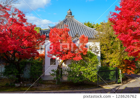 Hoken Goin的秋葉 128626762