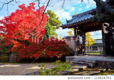 Hoken Goin的秋葉 128626763