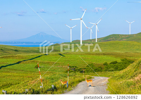 [北海道_稚內_宗谷岬] 從宗谷山眺望利尻富士 128626892