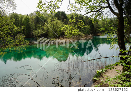 splendid green lake in Plitvice Lakes National Park. Waterfalls, lakes and flora in Croatia splendid green lake in Plitvice Lakes National Park. Waterfalls, lakes and flora in Croatia 128627162