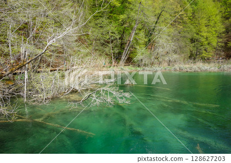spectacular waterfalls and lakes of Plitvice Lakes National Park, in Croatia 128627203