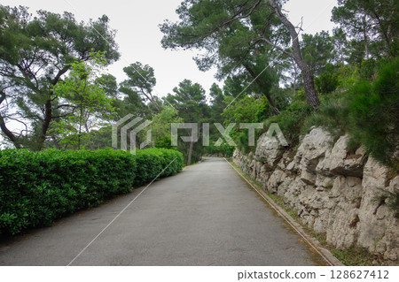 Marjan Forest Park in Split, Croatia Marjan Forest Park in Split, Croatia 128627412