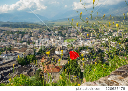 common red poppy with cityscape of Gjirokaster in Albania, in background 128627476