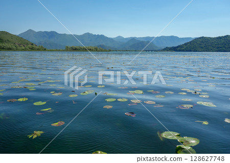 Lake Skadar or Lake Scutari, on the border of Albania and Montenegro, the largest lake in Balkan Peninsula 128627748
