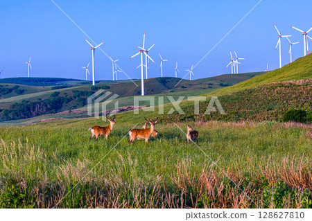 [Hokkaido_Wakkanai_Cape Soya] The northernmost point of Japan, the Soya Hills 128627810