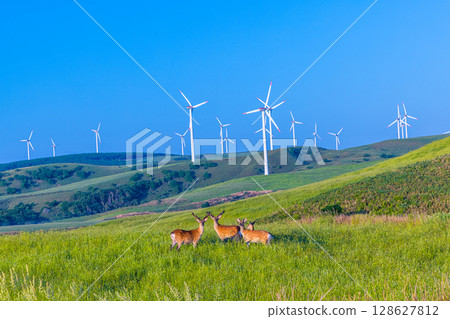 [Hokkaido_Wakkanai_Cape Soya] The northernmost point of Japan, the Soya Hills 128627812