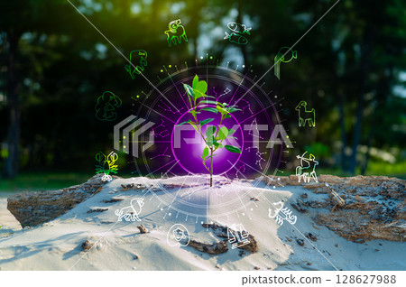 Zodiac signs and astrology with constellations, concepts, predictions, horoscopes, beliefs Zodiac signs and astrology with constellations, concepts, predictions, horoscopes, beliefs 128627988