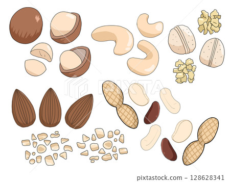 堅果插圖集 128628341