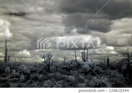 Sonoran Desert Arizona in Infrared 128628344