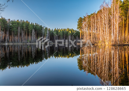 Calm lake with green trees on the shore and a beautiful reflection. Summer landscape. Calm lake with green trees on the shore and a beautiful reflection. Summer landscape. 128628665