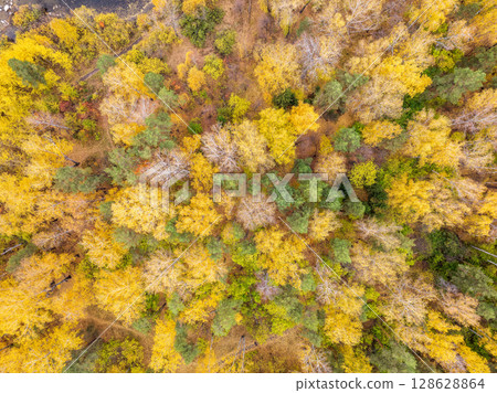 Aerial drone view of stunning colorful autumn fall forest. Aerial drone view of stunning colorful autumn fall forest. 128628864
