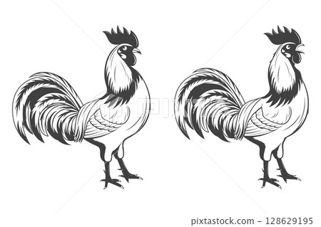 Rooster Vector Illustration. Vintage Rooster Sketch, Rooster Icon Isolated on White Background. Rustic Farm Animal Silhouette, Rooster Graphic for Farm Logo, Hand Drawn Poultry, Chicken Illustration Rooster Vector Illustration. Vintage Rooster Sketch, Rooster Icon Isolated on White Background. Rustic Farm Animal Silhouette, Rooster Graphic for Farm Logo, Hand Drawn Poultry, Chicken Illustration 128629195