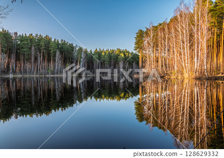 Calm lake with green trees on the shore and a beautiful reflection. Summer landscape. Calm lake with green trees on the shore and a beautiful reflection. Summer landscape. 128629332