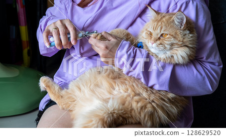 Woman hand trimming cat nails with a pet clipper, gently grooming her feline at home. 128629520